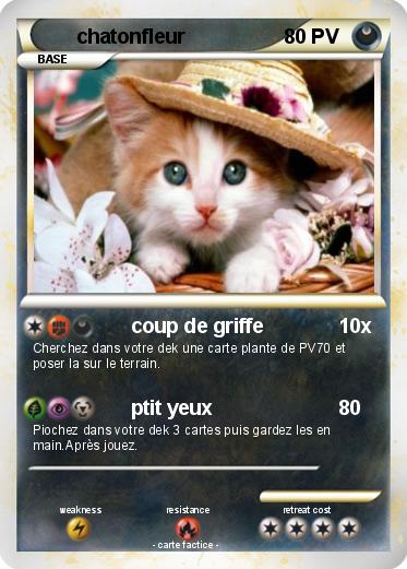 Pokemon chatonfleur