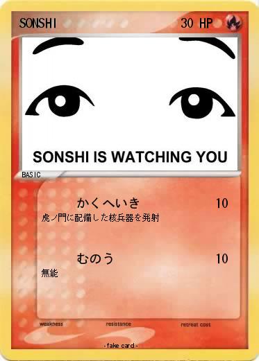 Pokemon SONSHI