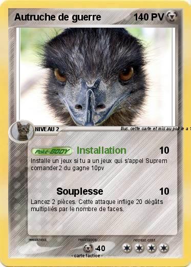Pokemon Autruche de guerre