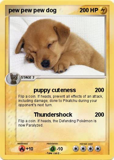 Pokemon pew pew pew dog