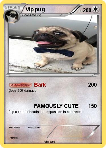 Pokemon Vip pug