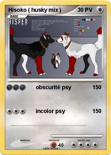 Pokemon Hisoko ( husky mix )