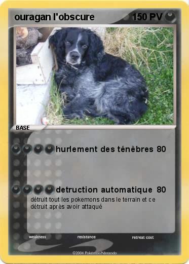 Pokemon ouragan l'obscure 