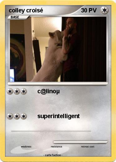 Pokemon colley croisé