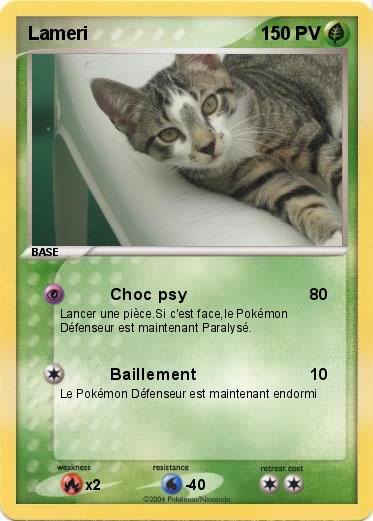 Pokemon Lameri