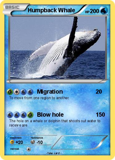 Pokemon Humpback Whale
