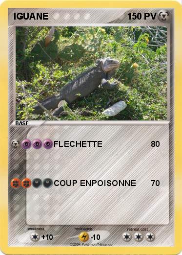 Pokemon IGUANE