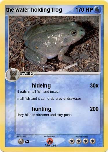 Pokemon the water holding frog