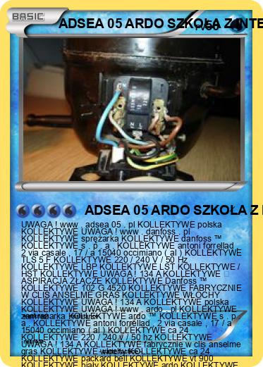 Pokemon ADSEA 05 ARDO SZKOŁA Z INTERNATEM 3 IME POLSKA
