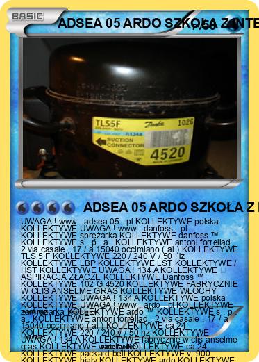 Pokemon ADSEA 05 ARDO SZKOŁA Z INTERNATEM 3 IME POLSKA