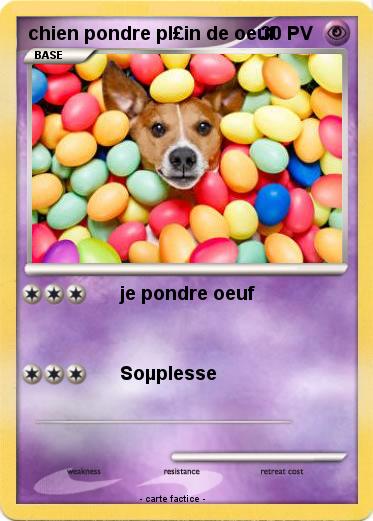 Pokemon chien pondre pl£in de oeuf