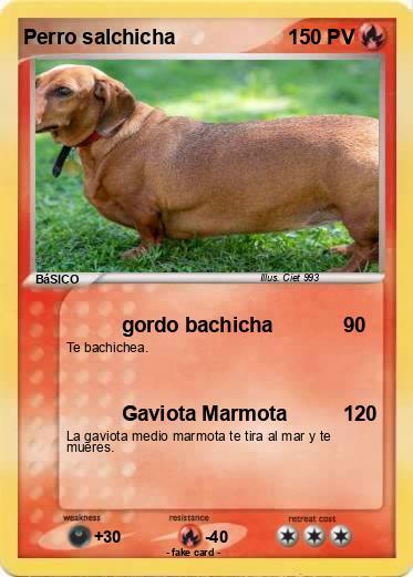 Pokemon Perro salchicha