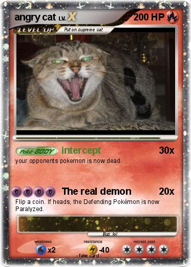 Pokemon angry cat