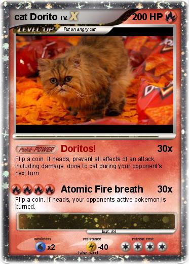 Pokemon cat Dorito