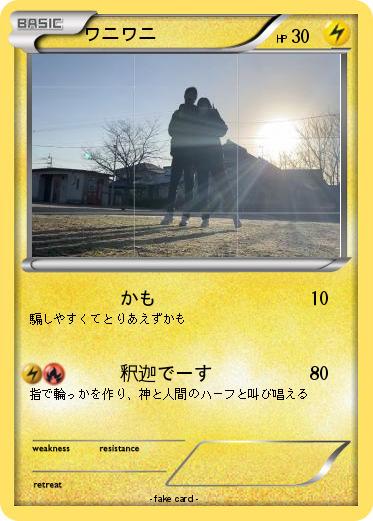 Pokemon ワニワニ