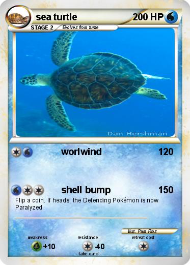 Pokemon sea turtle