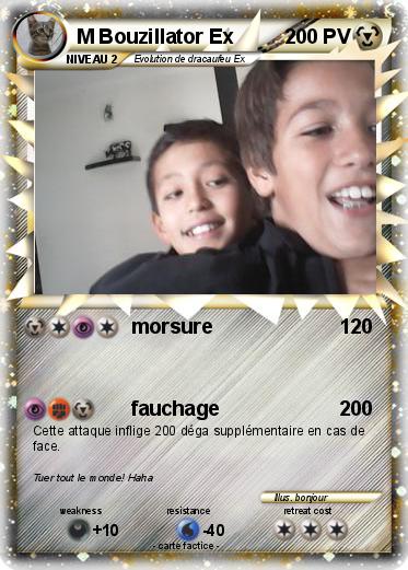 Pokemon M Bouzillator Ex