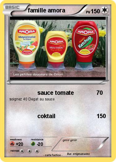 Pokemon famille amora