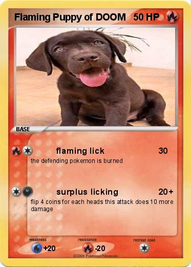 Pokemon Flaming Puppy of DOOM 