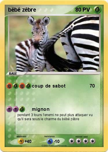 Pokemon bébé zébre