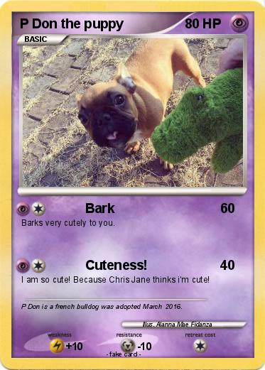 Pokemon P Don the puppy