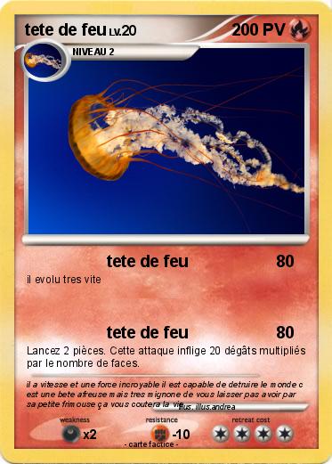 Pokemon tete de feu