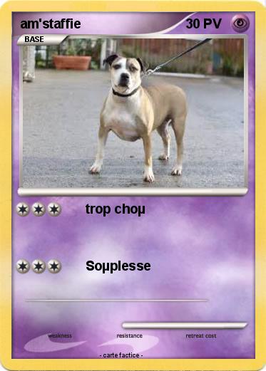 Pokemon am'staffie
