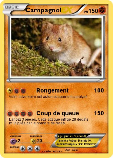 Pokemon Campagnol