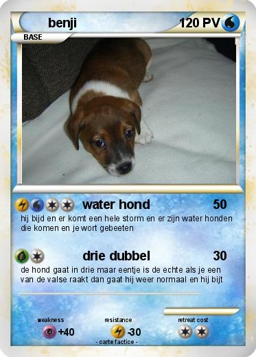 Pokemon benji