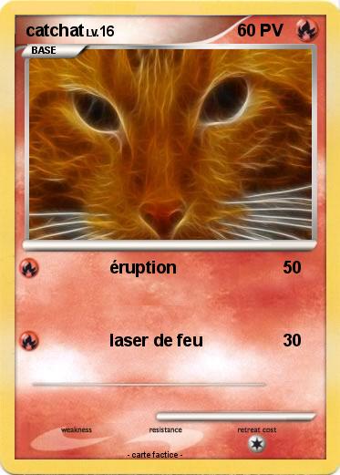 Pokemon catchat