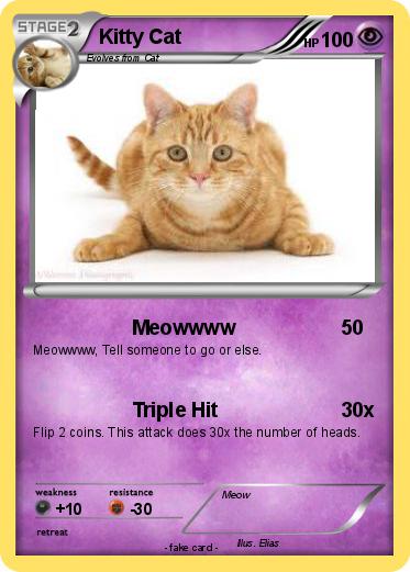 Pokemon Kitty Cat