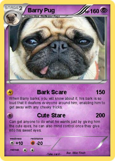 Pokemon Barry Pug