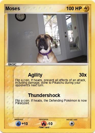 Pokemon Moses