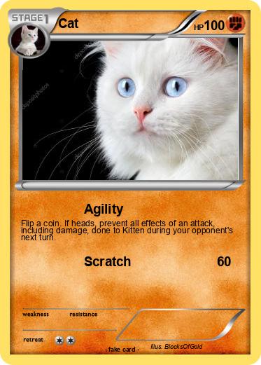 Pokemon Cat