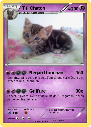 Pokemon Titi Chaton