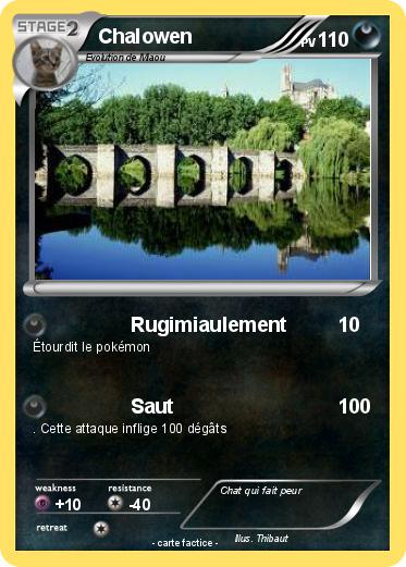 Pokemon Chalowen
