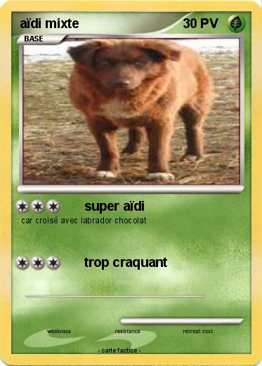 Pokemon aïdi mixte