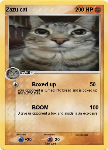 Pokemon Zazu cat