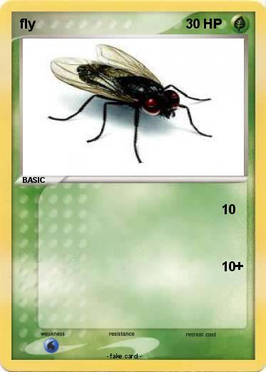 Pokemon fly