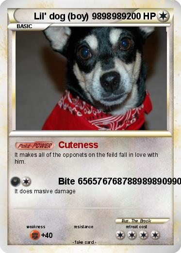 Pokemon Lil' dog (boy) 9898989