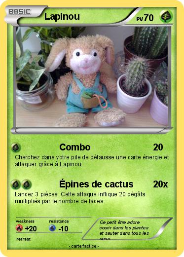Pokemon Lapinou