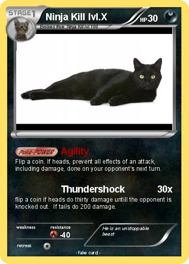 Pokemon Ninja Kill lvl.X