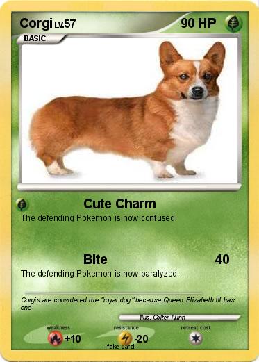 Pokemon Corgi