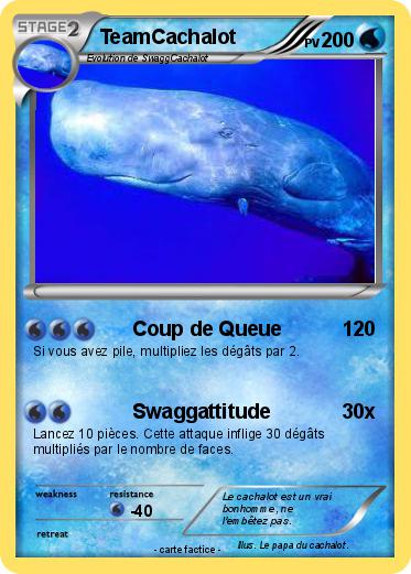 Pokemon TeamCachalot