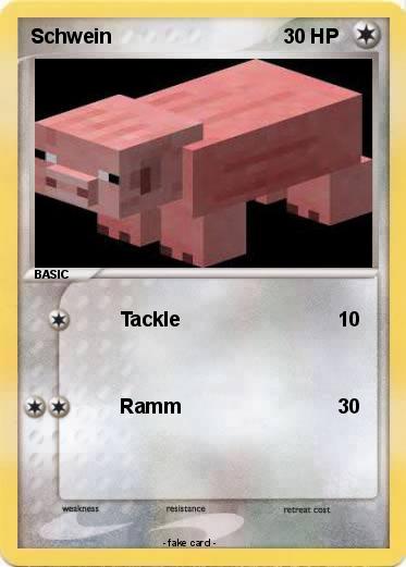 Pokemon Schwein