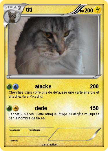 Pokemon titi