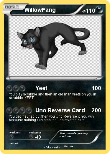 Pokemon WillowFang