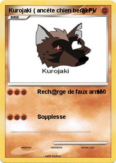 Pokemon Kurojaki ( ancète chien berger )