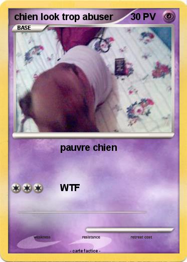 Pokemon chien look trop abuser