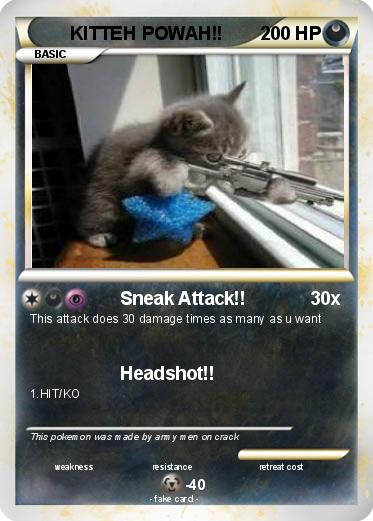 Pokemon KITTEH POWAH!!